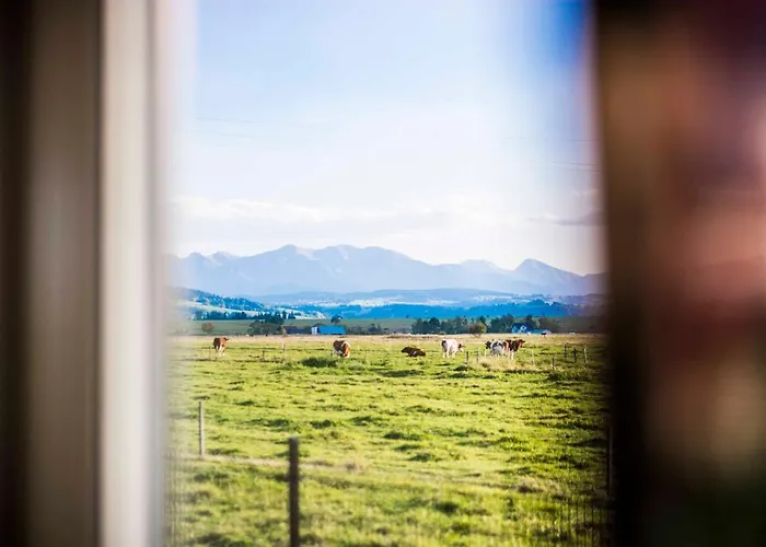 Wiejski Relaks * Czarny Dunajec